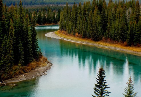 Pines reflecting on a turquoise colored mountain lake in midday. 