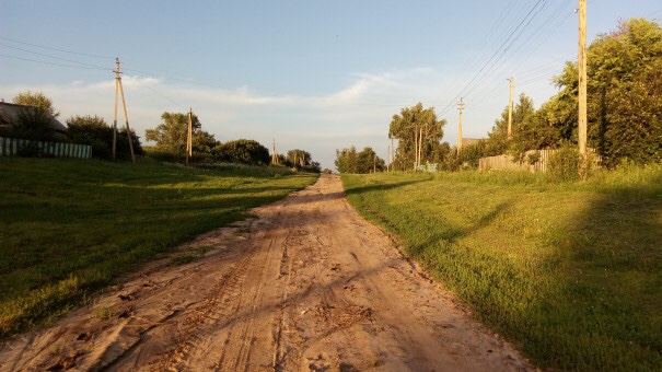 Dirt path between trees. 