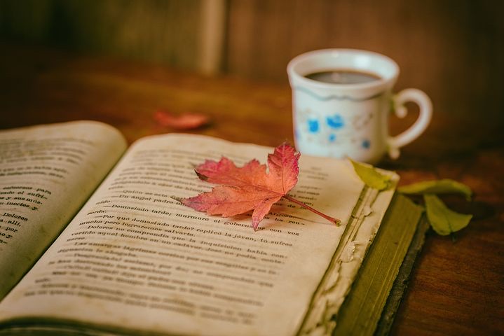 A maple leaf on a hardback book with a mug in the background. 