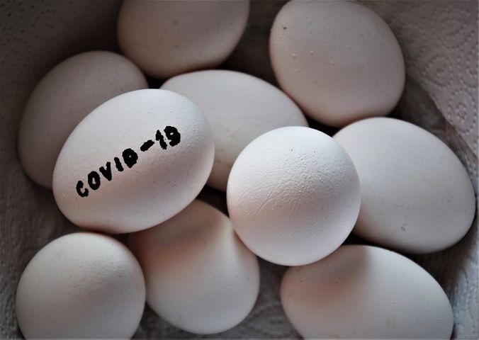 Image: Plain white eggs, and one says Covid-19. 